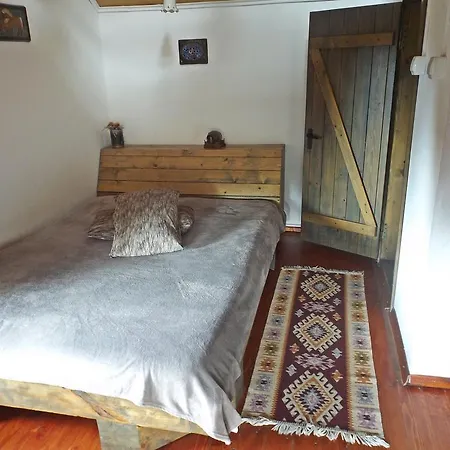 Guest house Cabana La Noi Risnov
