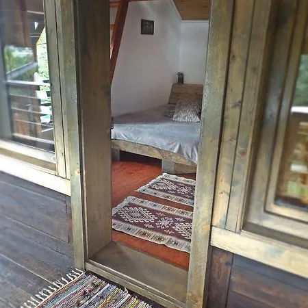 Guest house Cabana La Noi