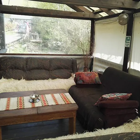 Cabana La Noi Guest house Risnov