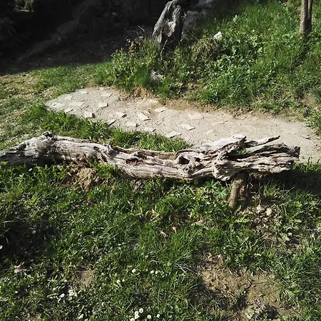 Cabana La Noi
