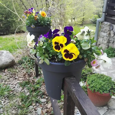 Cabana La Noi Risnov